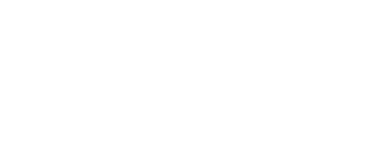 A.IN.COM.